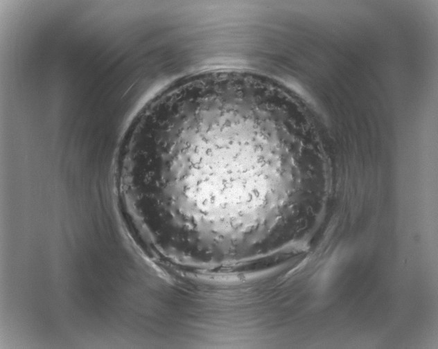 X0000064721325200602101114