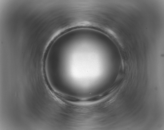 X0000064721326200602101114