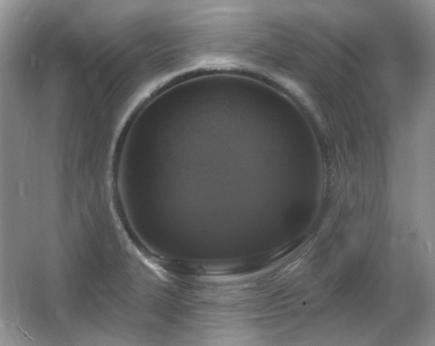 X0000064721327200602101114