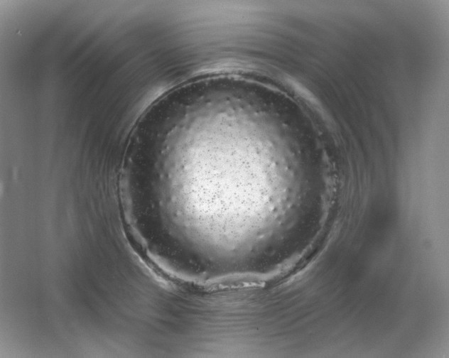 X0000064721329200602101114