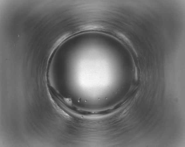 X0000064721330200602101114