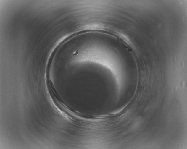X0000064721331200602101114