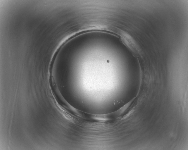 X0000064721332200602101114