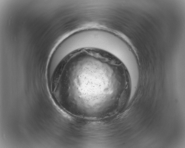 X0000064721335200602101114