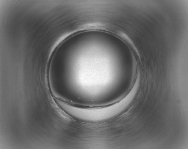 X0000064721336200602101114