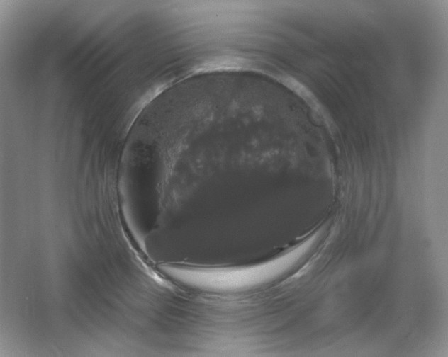 X0000064721337200602101114