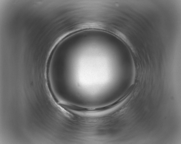 X0000064721339200602101114