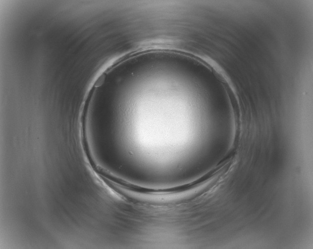 X0000064721341200602101114