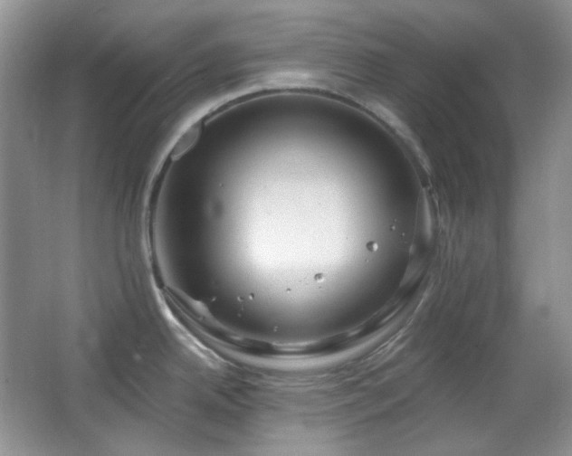 X0000064721342200602101114