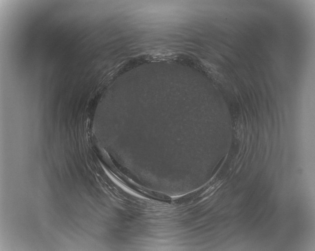 X0000064721346200602101113