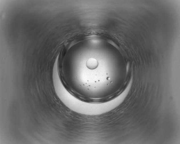 X0000064721347200602101113