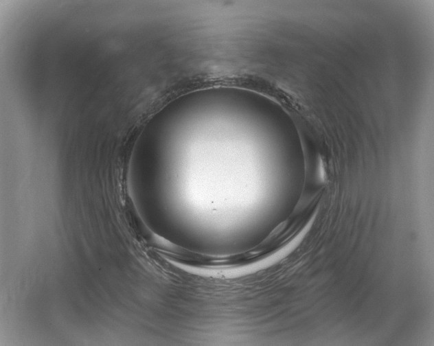X0000064721348200602101113