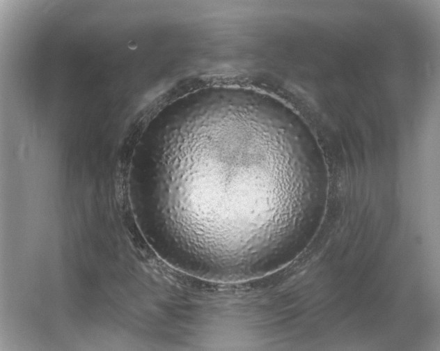 X0000064721350200602101113