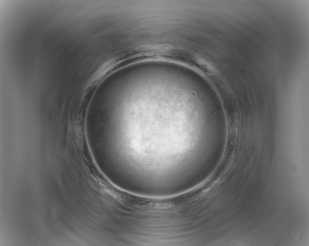 X0000064721354200602101113