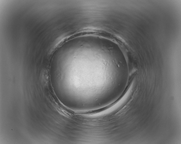X0000064721355200602101113