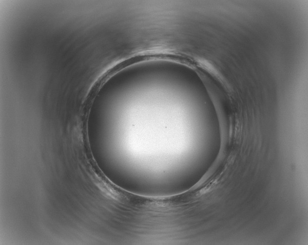 X0000064721356200602101113