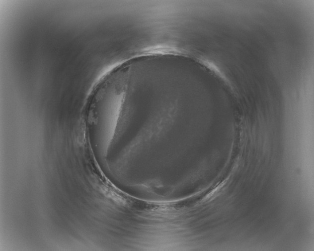 X0000064721358200602101113