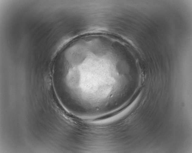 X0000064721363200602101113