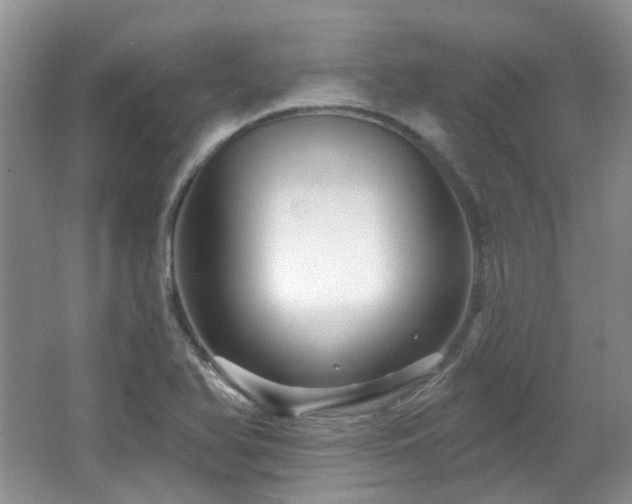 X0000064721366200602101113