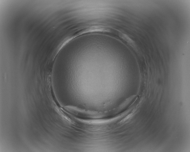 X0000064721369200602101113