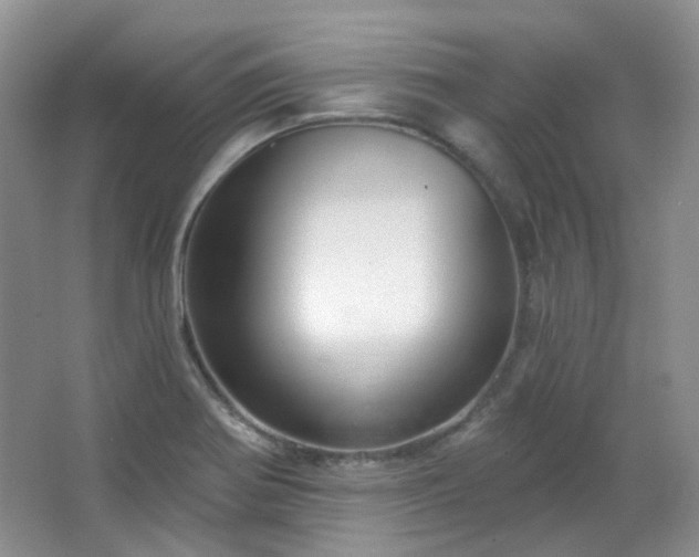 X0000064721370200602101113