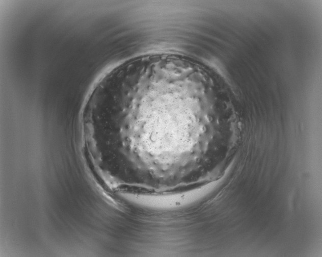X0000064721371200602101113