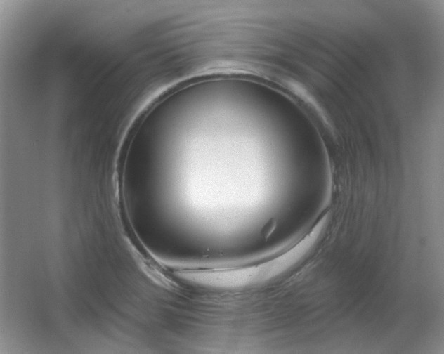 X0000064721372200602101113