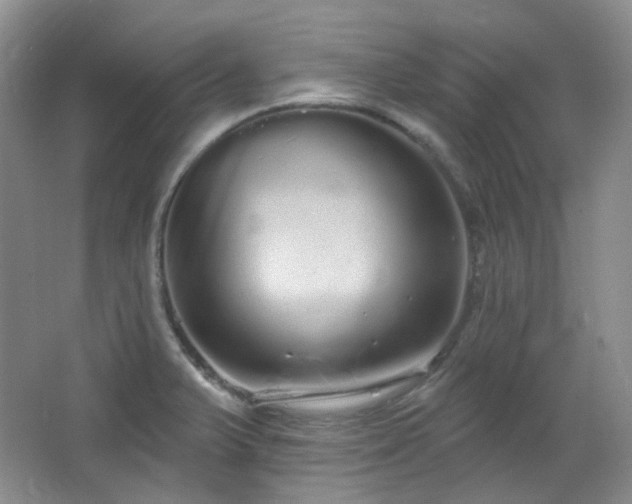X0000064721375200602101113