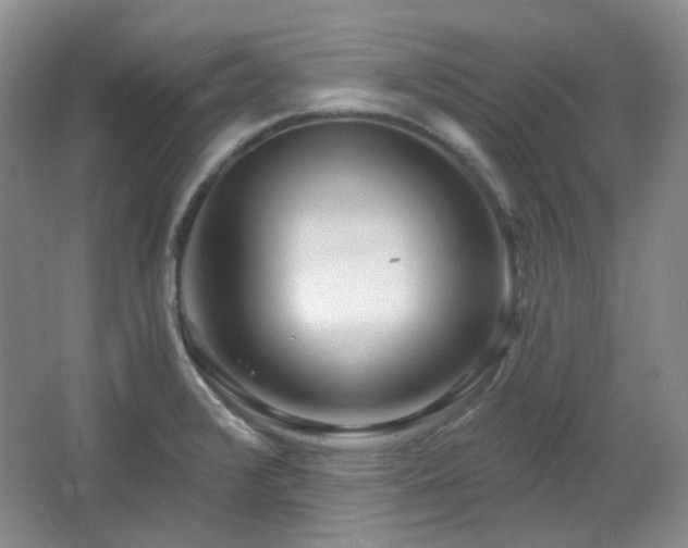 X0000064721376200602101113
