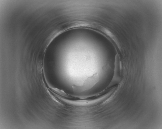 X0000064721377200602101113