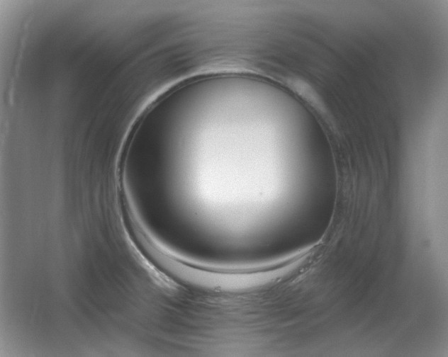 X0000064721380200602101113