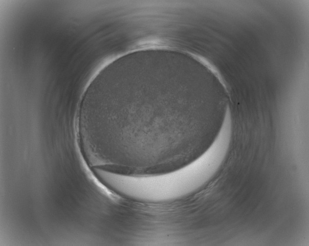 X0000064721383200602101113