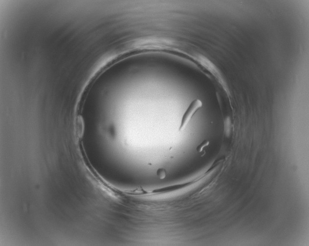 X0000064721384200602101112