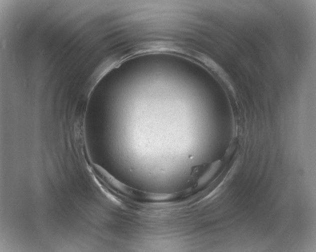 X0000064721385200602101112