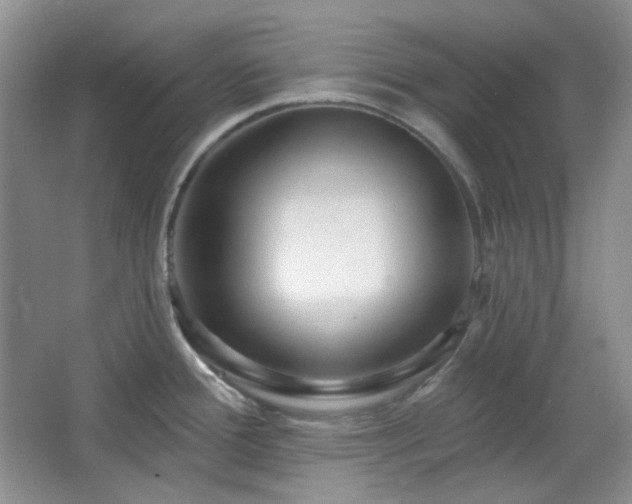 X0000064721388200602101112