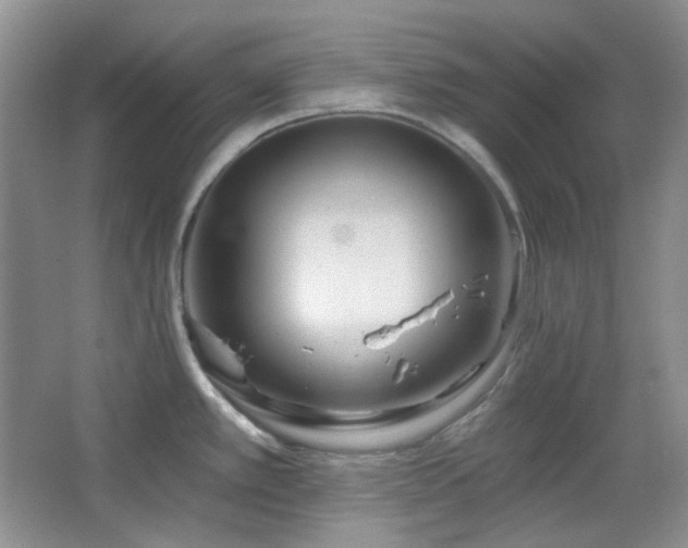 X0000064721389200602101112