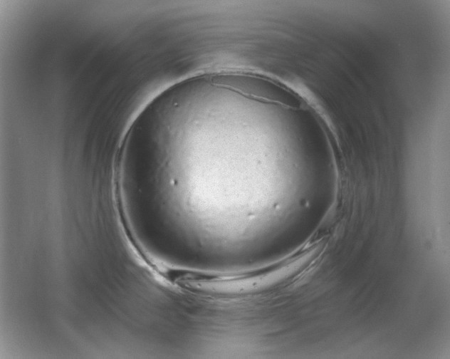 X0000064721390200602101112