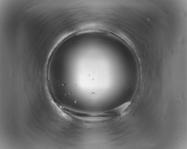 X0000064721392200602101112