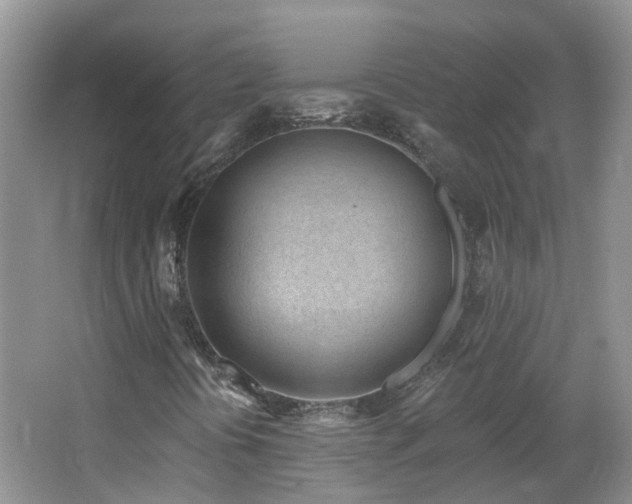 X0000064721394200602101112