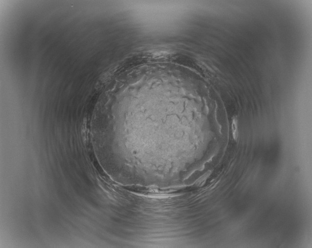 X0000064721395200602101112