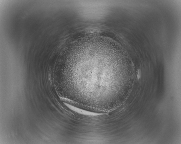 X0000064721396200602101112