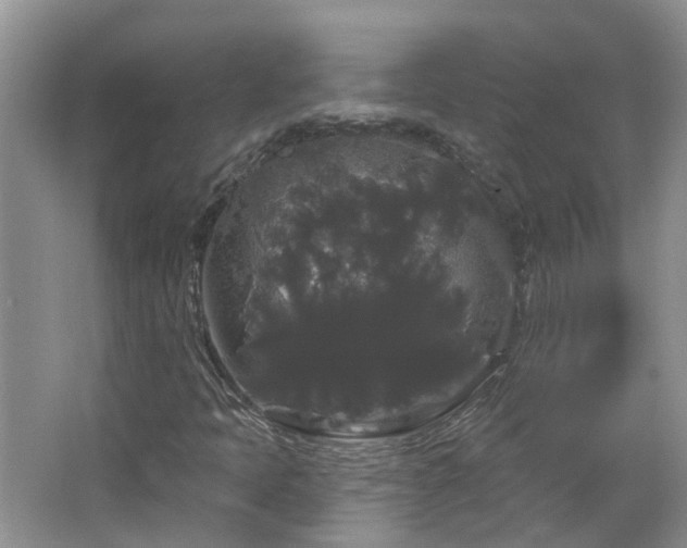 X0000064721397200602101112