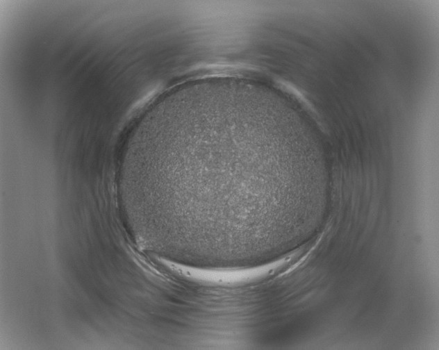X0000064721403200602101112