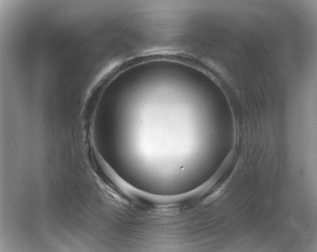 X0000064721406200602101112