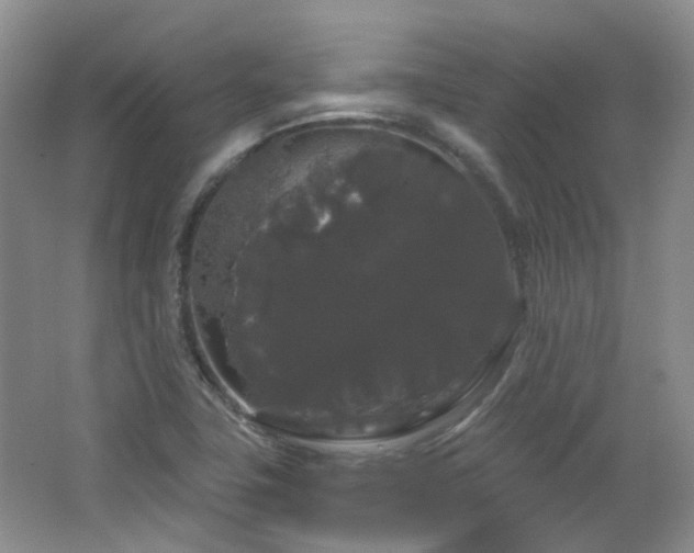 X0000064721411200602101112