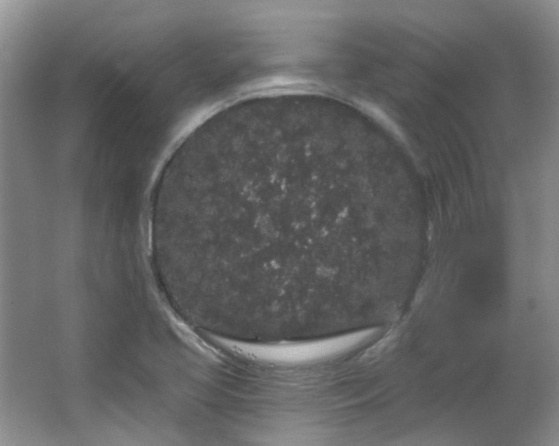 X0000064721413200602101112