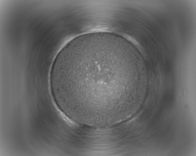 X0000064721423200602101112