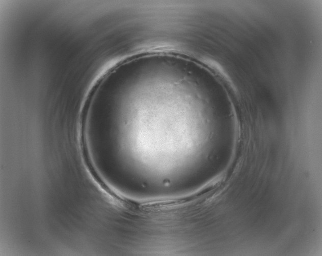 X0000064721424200602101112