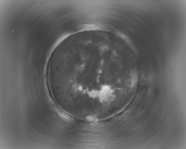 X0000064721427200602101112