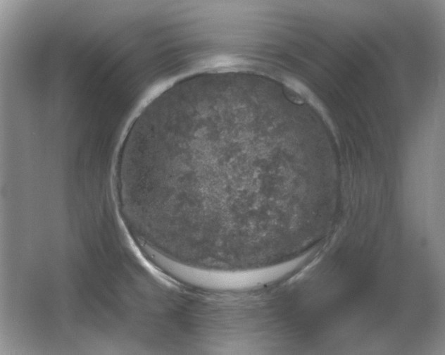 X0000064721429200602101112